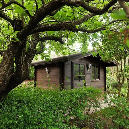 Villa Tenuta Di Donna