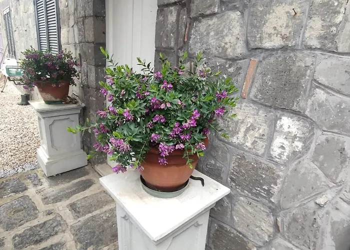 Tenuta Di Donna ヴィラ Ruviano