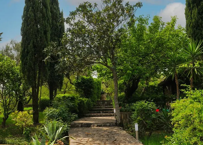 Tenuta Di Donna ヴィラ *