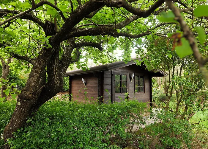 ヴィラ Tenuta Di Donna